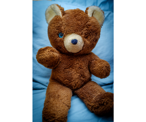 teddy bear with a missing eye