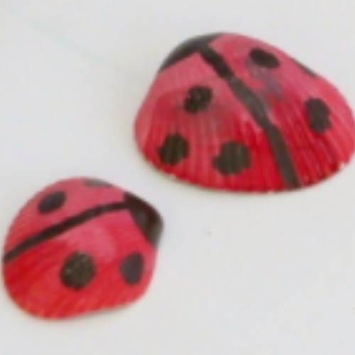 Painted Seashell Ladybugs