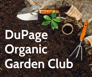 Text DuPage Organic Garden Club overlayed on a photo of black dirt and gardening tools